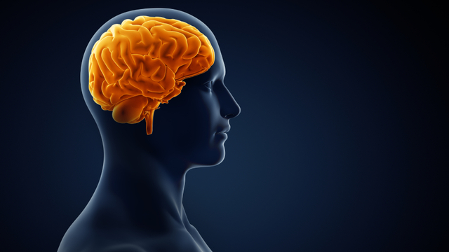 Beyni güçlendiriyor! Günde birkaç dakika...