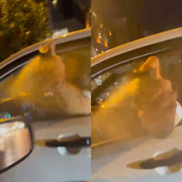 Trafik tartışmasında biber gazlı saldırı