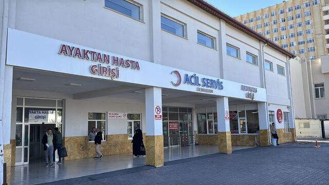 Hayvanlarını arayan kadına ayı saldırdı