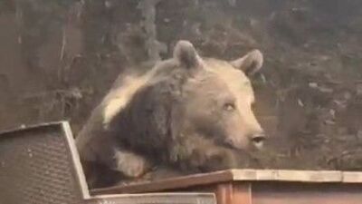 Masada adeta servis bekledi