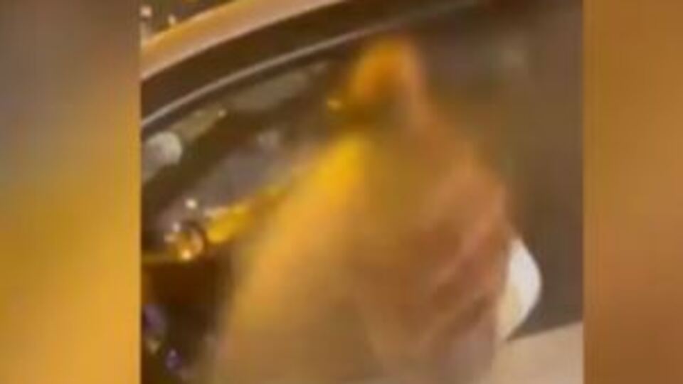 Biber gazlı maganda yakalandı