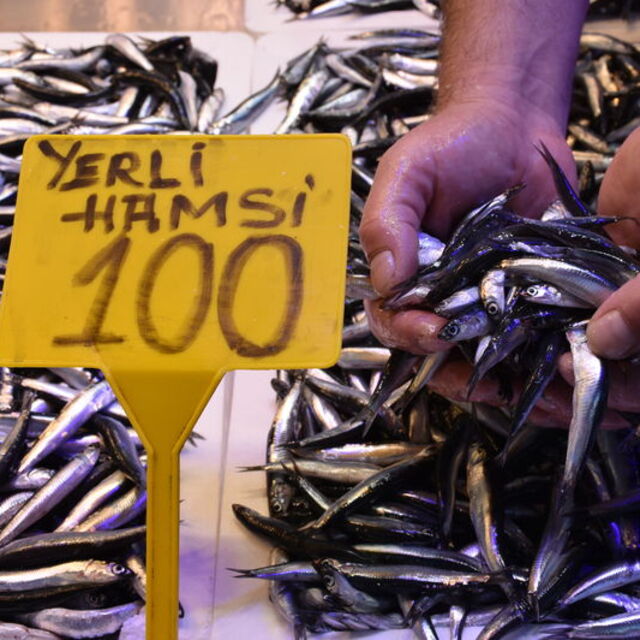 Hamsi tezgahlarda yerini aldı