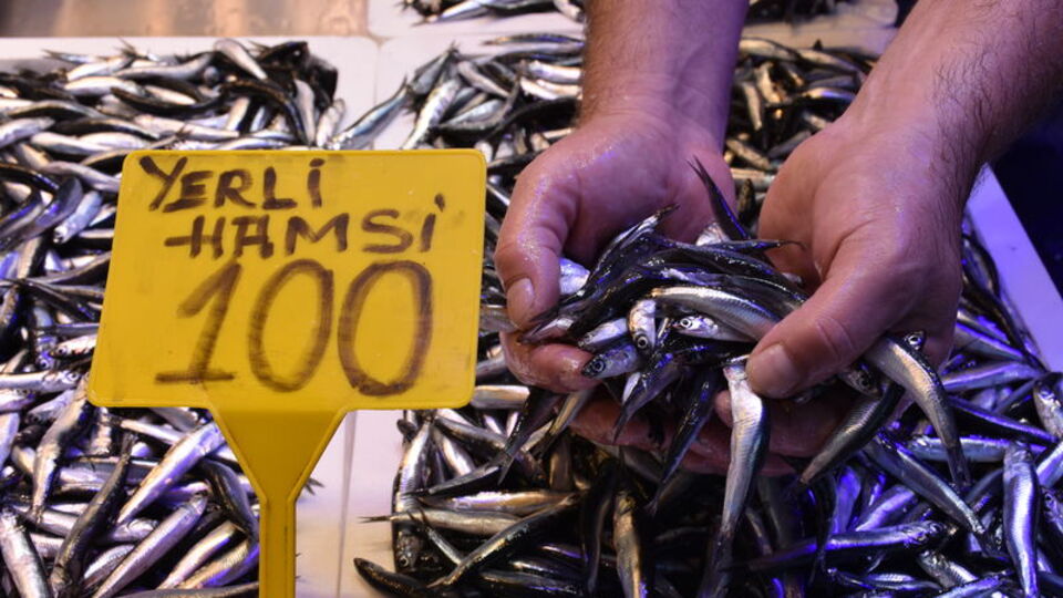 Hamsi tezgahlarda yerini aldı