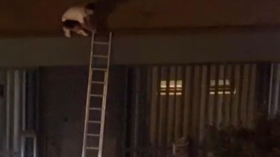 Blok3 konserinde dehşet!