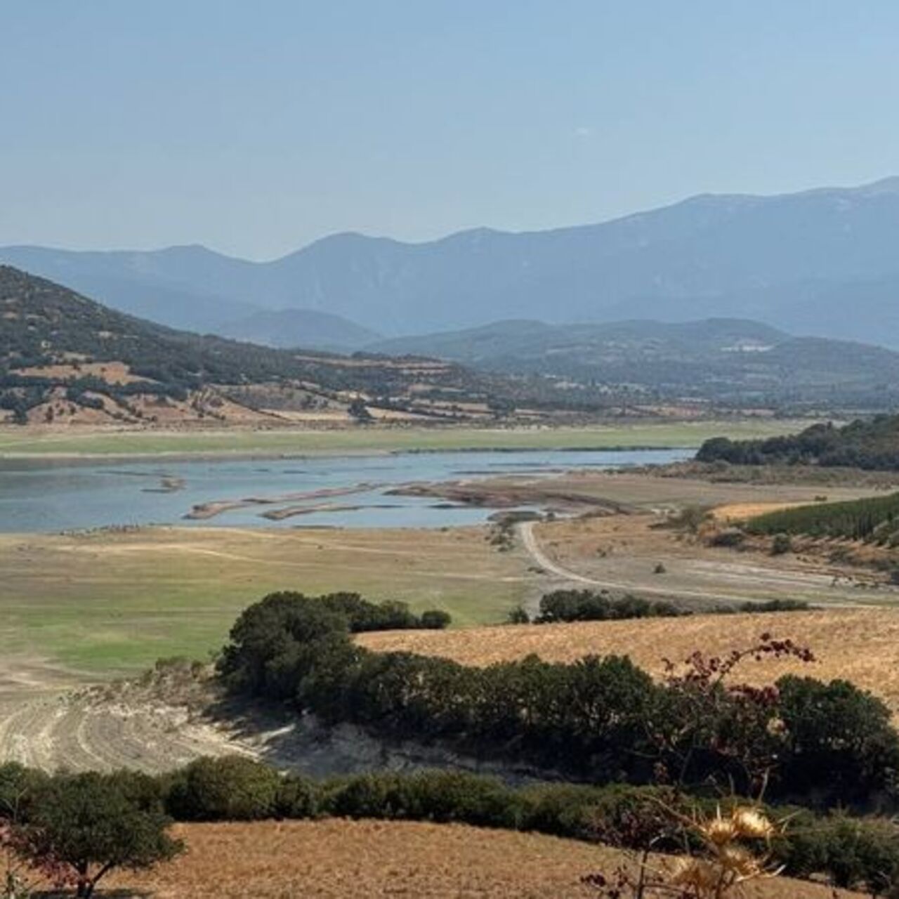 Çanakkale'de kuraklık tarımsal verimi de vurdu