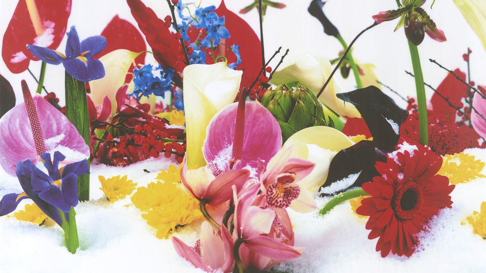 Ortak Duygular sergisi Pera Müzesi'nde