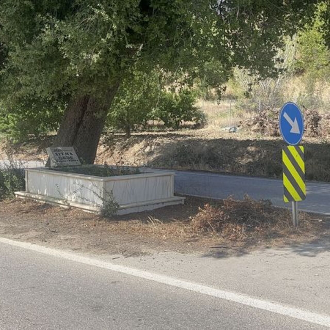 "Sıtma Dede" yolun ortasında kaldı