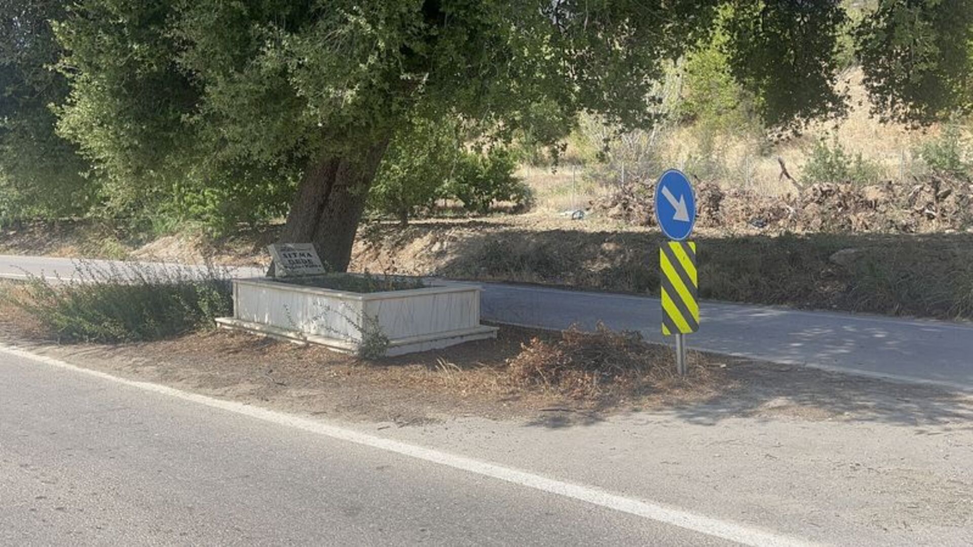 "Sıtma Dede" yolun ortasında kaldı | Son dakika ha…