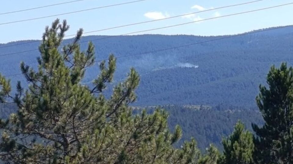 Kastamonu'da orman yangını çıktı