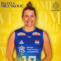 Fenerbahçe'ye Sırp smaçör!