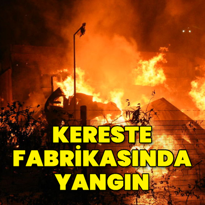 Kereste fabrikasında yangın