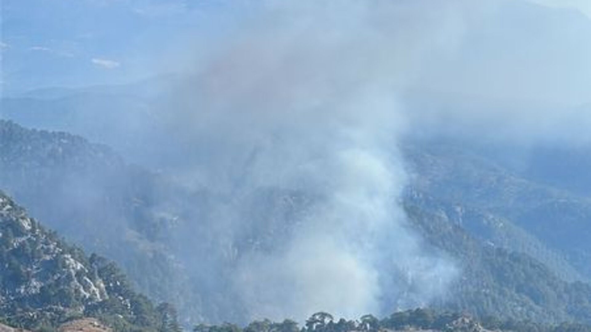 Muğla'da orman yangını çıktı! 17 Eylül 2025 Muğla Köyceğiz orman yangınında son durum ne, yangın kontrol altına alındı mı?