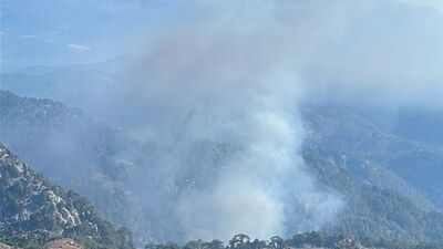 Muğla'da orman yangını çıktı!
