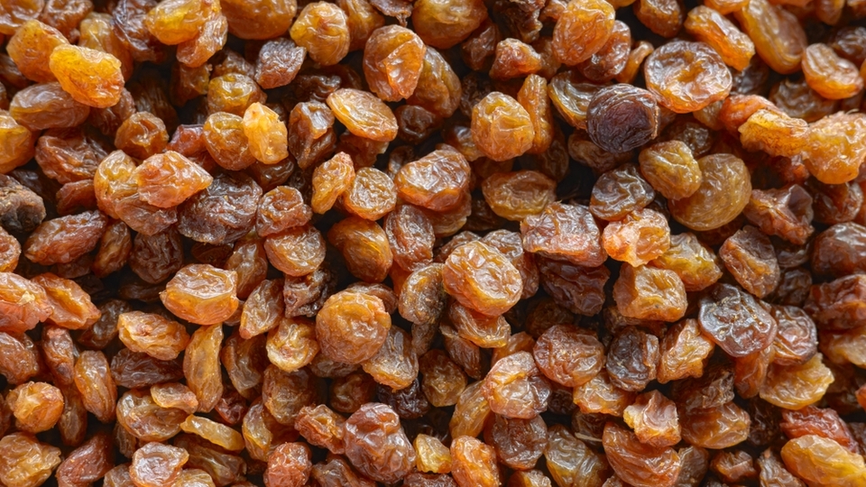 Kuru üzüm alım fiyatı belli oldu