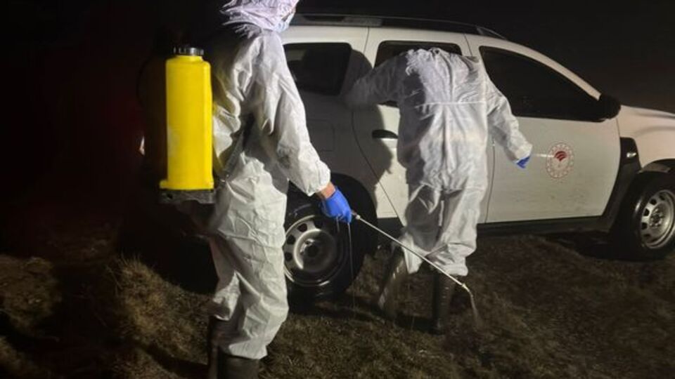 Gümüşhane'de 5 köye "şap" karantinası