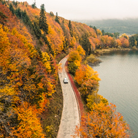 Sonbaharda neden yapraklar renk değiştiriyor?