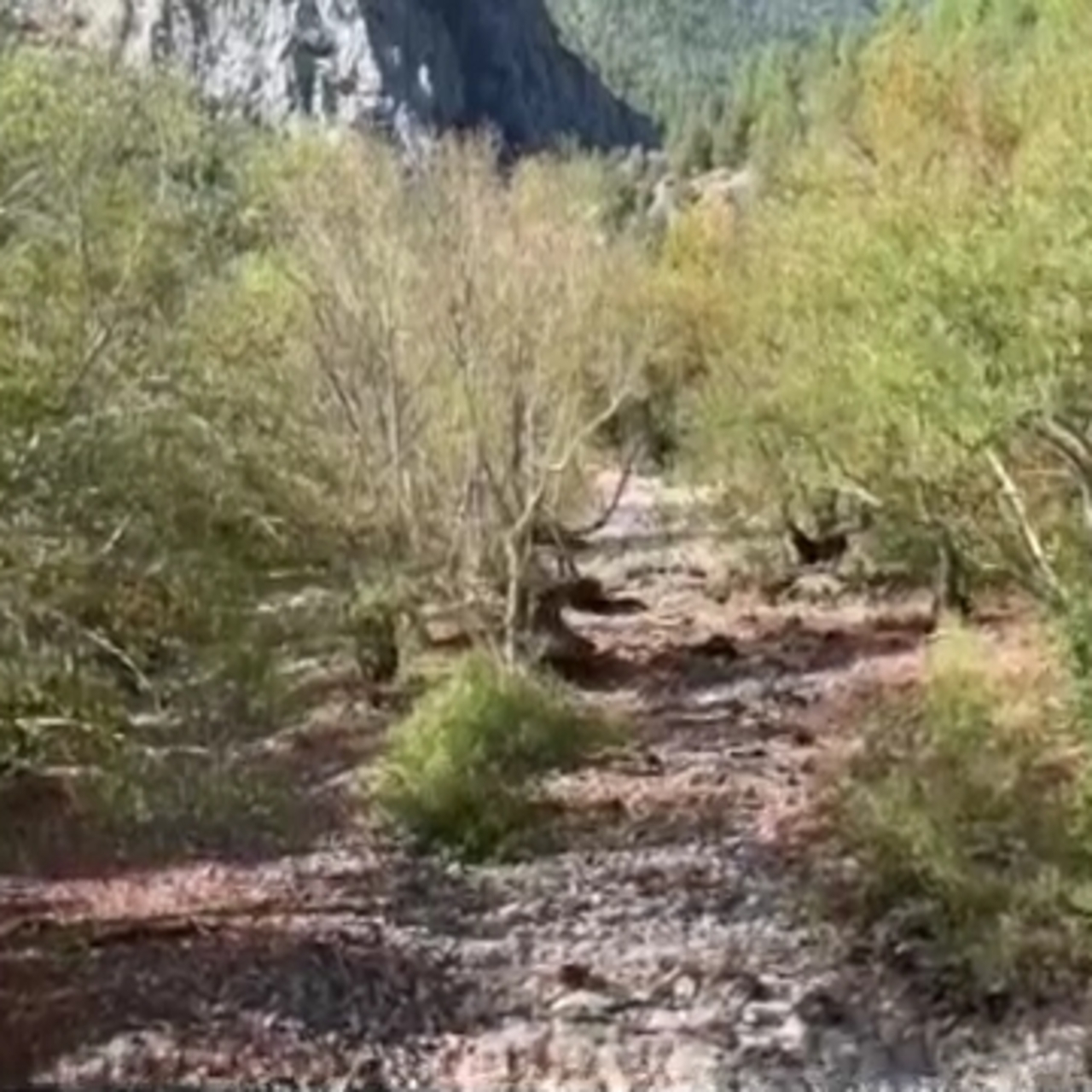 İki barajı besleyen Üzümdere Irmağı kurudu