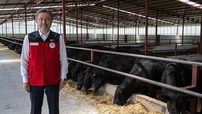 "Hayvan sayılarında artış yaşandı"