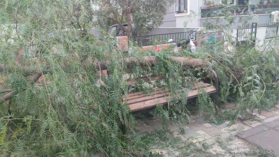 Çocuk parkında ağaç devrildi: 2 yaralı