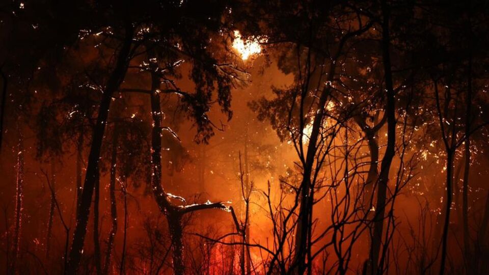 Alev kapanı! Yangın yerleşim yerlerinde!