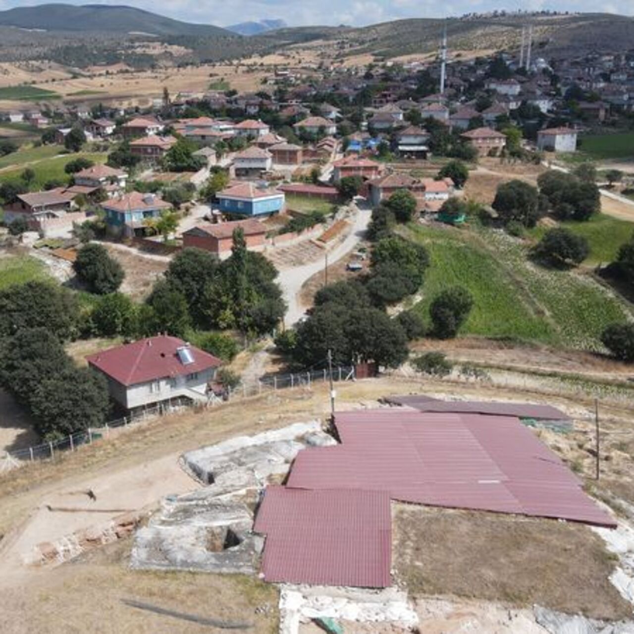 Samsun'da 2 bin 500 yıl önce de fındık varmış!