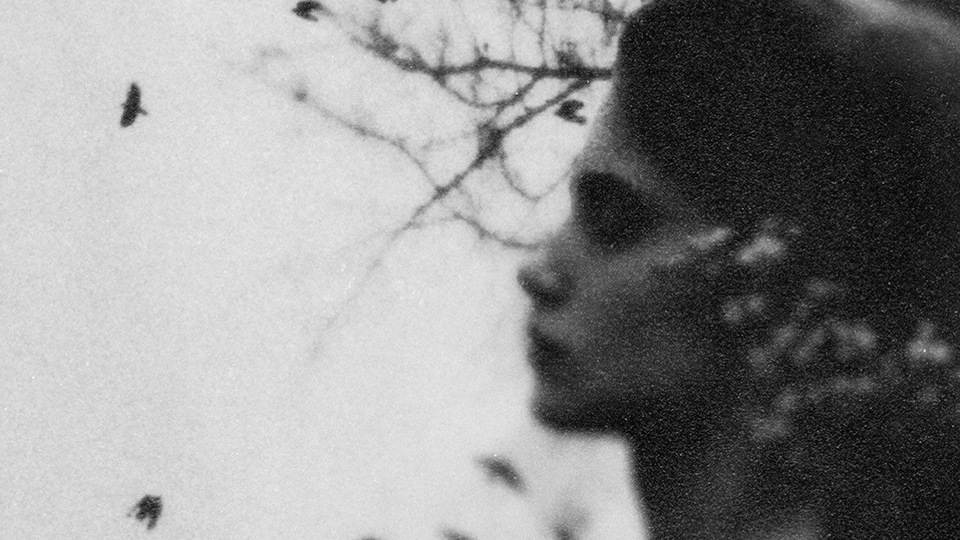 Ayşe Yenel'den yeni sergi: 'Zarif Bir Kaos'