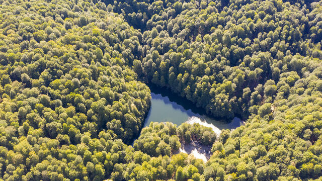 Bolu'nun 'orman denizi'ne sonbahar geldi