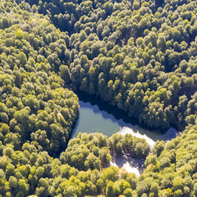 Bolu'nun 'orman denizi'ne sonbahar geldi