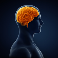 Günlük yaşamdaki bu değişiklikler Alzheimer habercisi olabilir