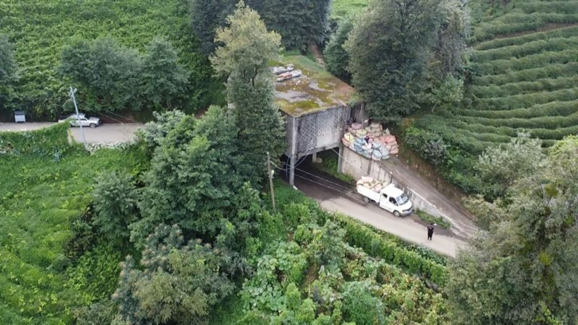 Arazi yetersizliğine sıra dışı yöntem! "Rizeli zekası diyorlar"