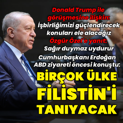 Cumhurbaşkanı Erdoğan'dan ABD ziyareti öncesi açıklamalar