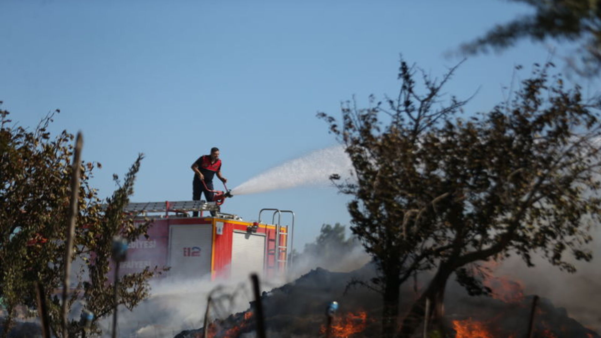 Üç ilde orman yangını! | Son dakika haberleri