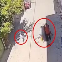 Kucağında çocuğu vardı... Kadından kadına şiddet!