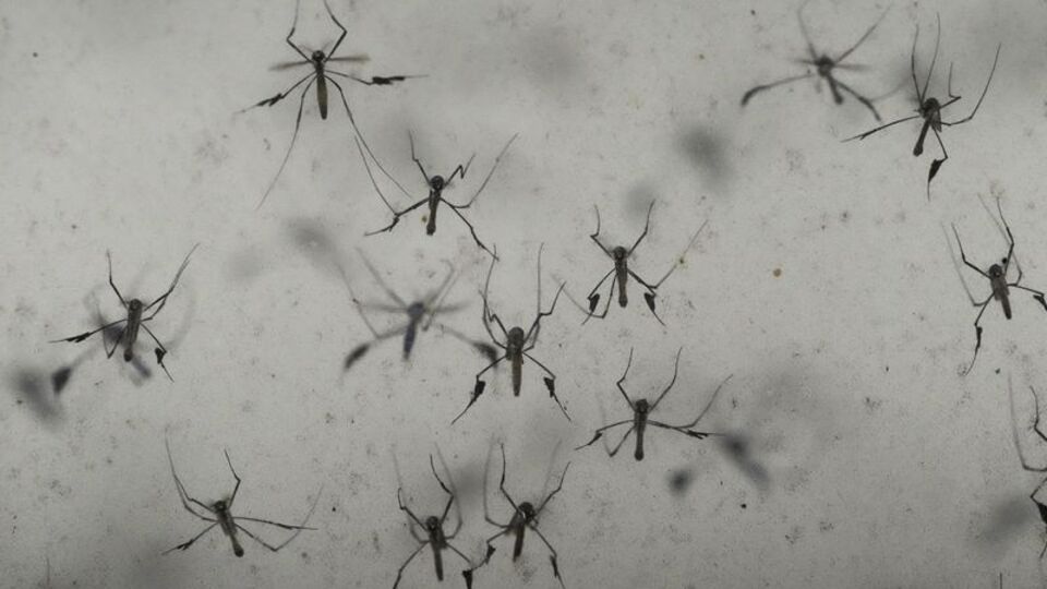 Çin'de halk sağlığı acil durumu ilan edildi