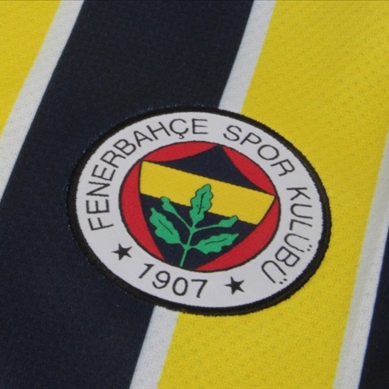 Fenerbahçe hisseleri düşüşte
