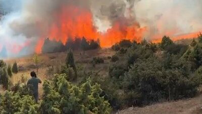 Salça yaparken 30 dönüm maki kül oldu!