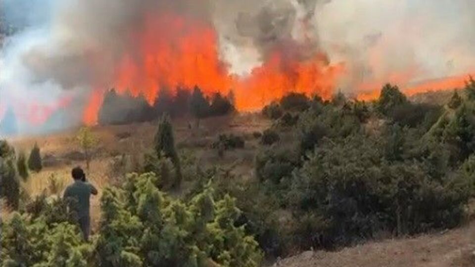 Salça yaparken 30 dönüm maki kül oldu!