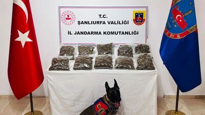 Şanlıurfa'da uyuşturucu operasyonu: 6 tutuklama