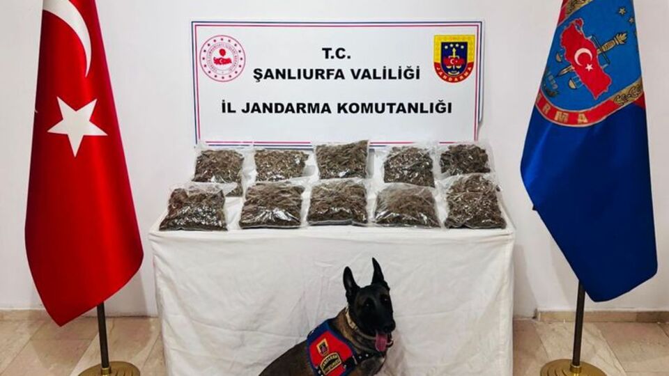 Şanlıurfa'da uyuşturucu operasyonu: 6 tutuklama