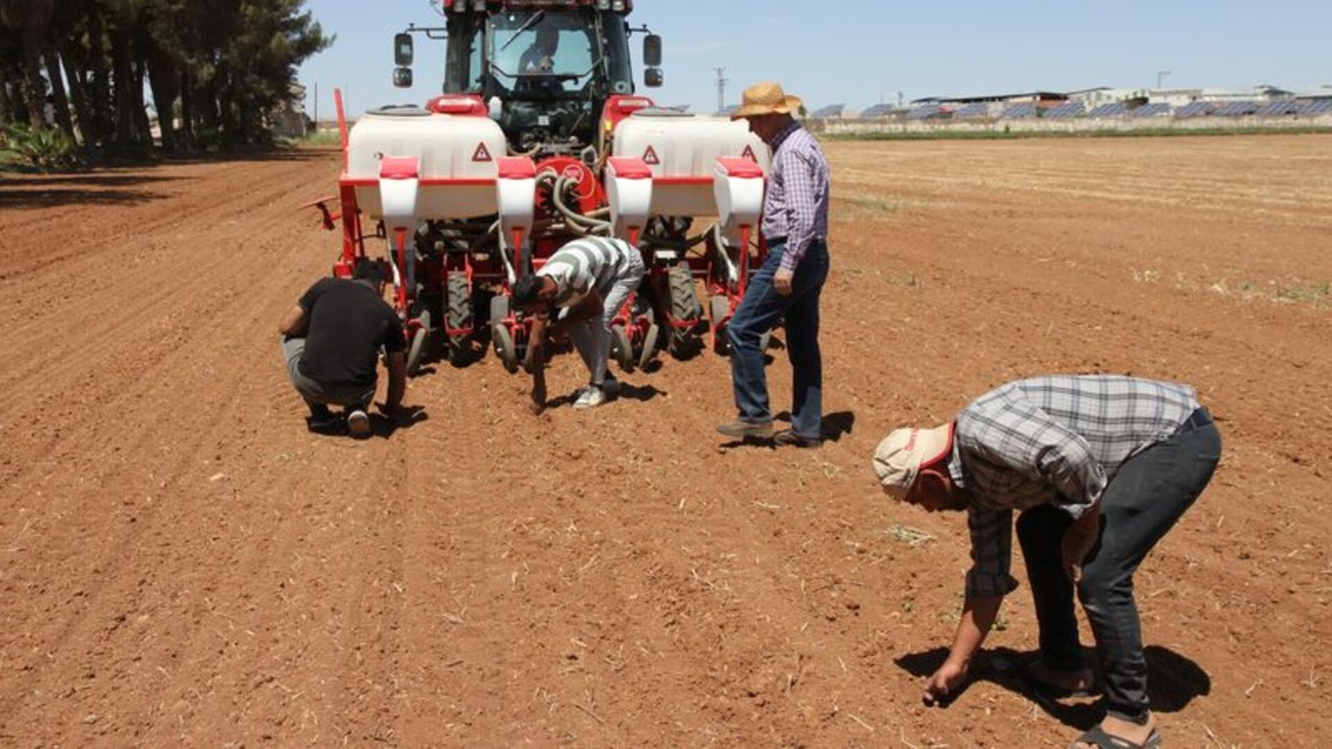 Şanlıurfa'da "anıza ekim" yaygınlaştırılacak | Son dakika haberleri