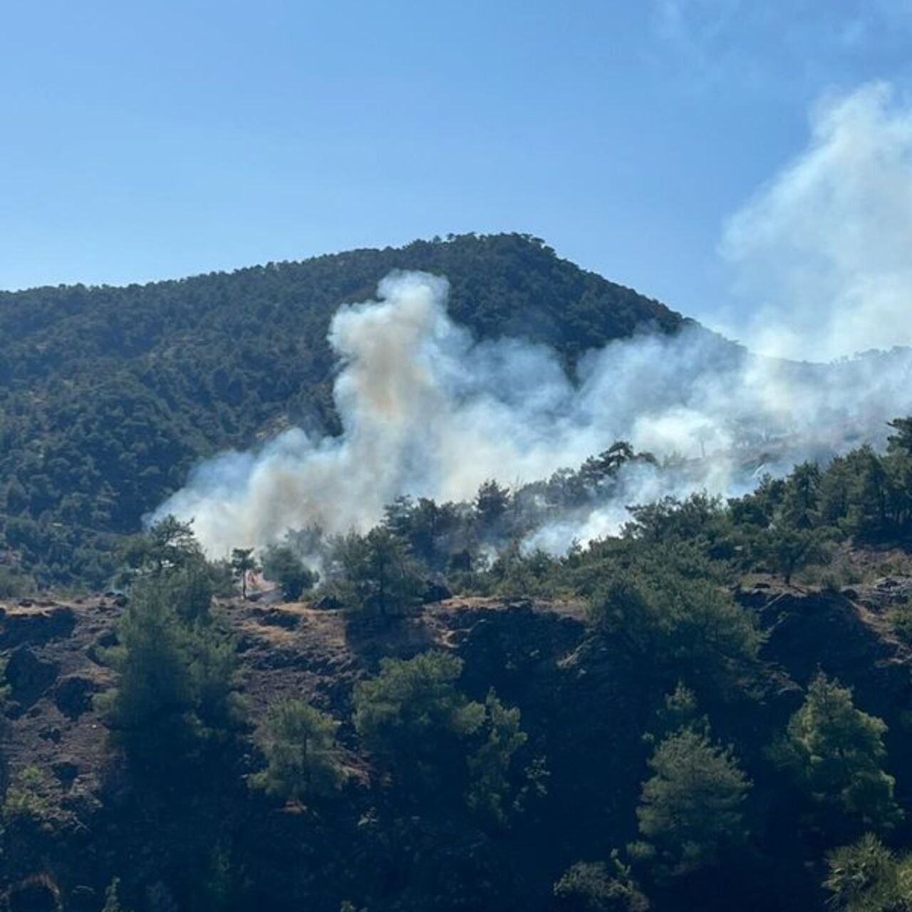 Gaziantep’te orman yangını çıktı