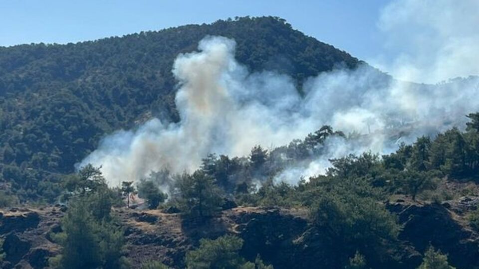 Gaziantep'te orman yangını çıktı