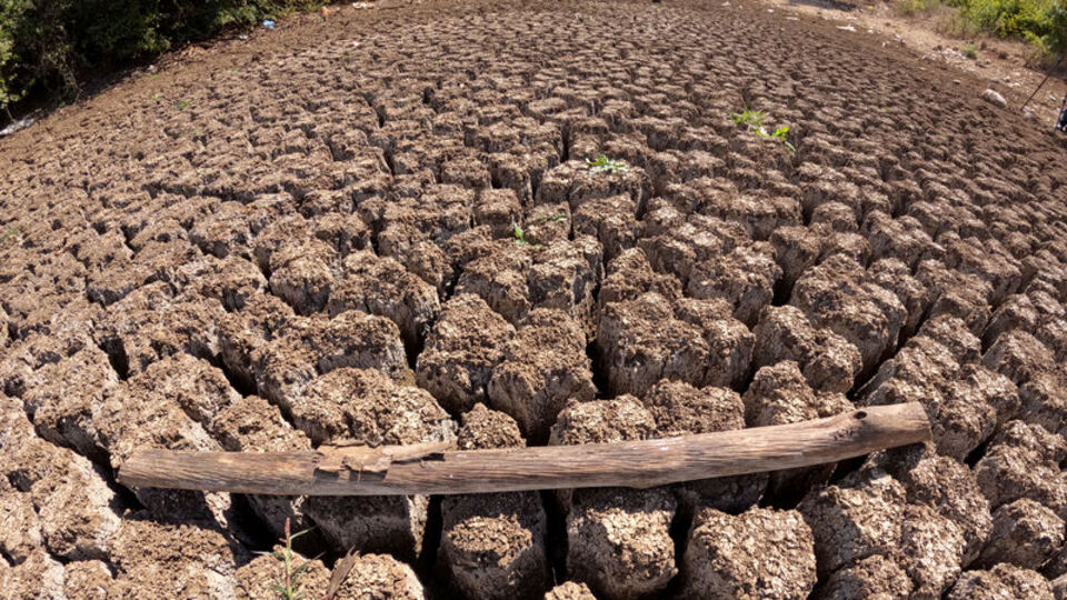 Kırklareli'nin Taşlık Göleti de kurudu