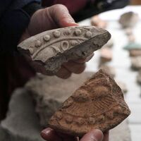 Sadece Moğolistan'da vardı! Tarlada bulundu