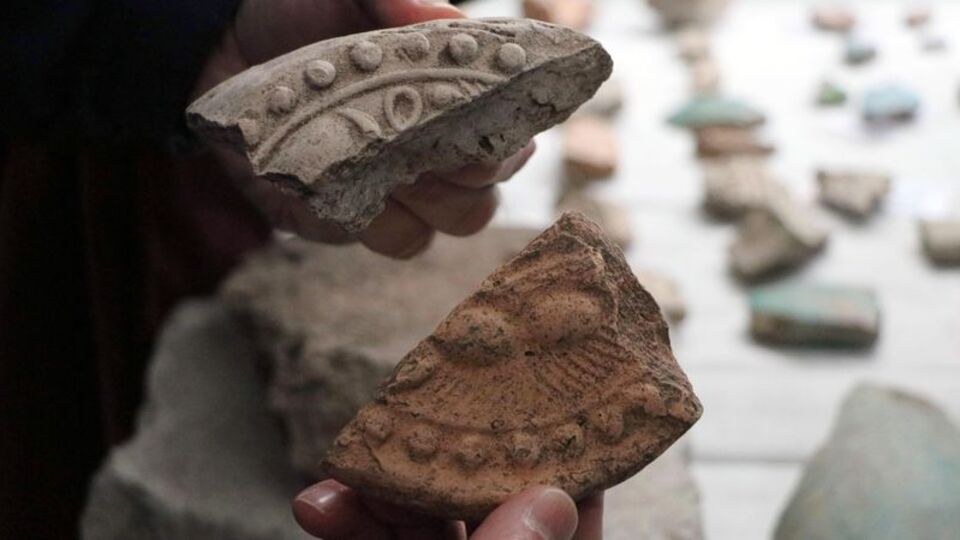 Sadece Moğolistan'da vardı! Tarlada bulundu