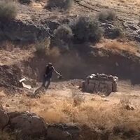 4 aylık köpeğe akılalmaz şiddet! Valilikten açıklama!