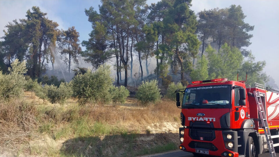 Manavgat'ta orman yangını!