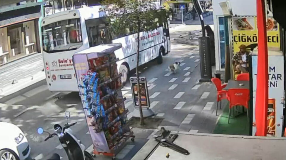 Ayağı ezilen köpeğe mama verdiler