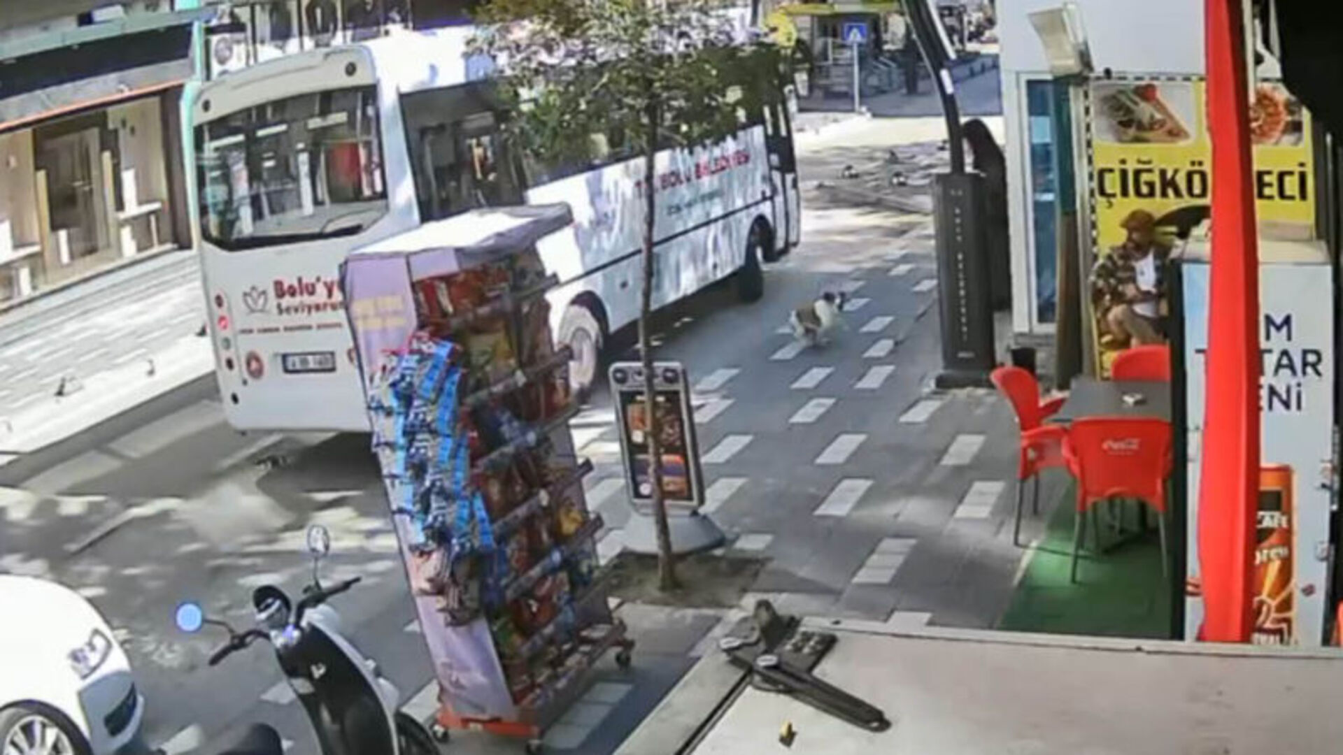 Sokakta Ayağı Ezilen Köpeğe, Yoldan Geçenlerin Vicdanı Sıcacık Bir Yuva Oldu!