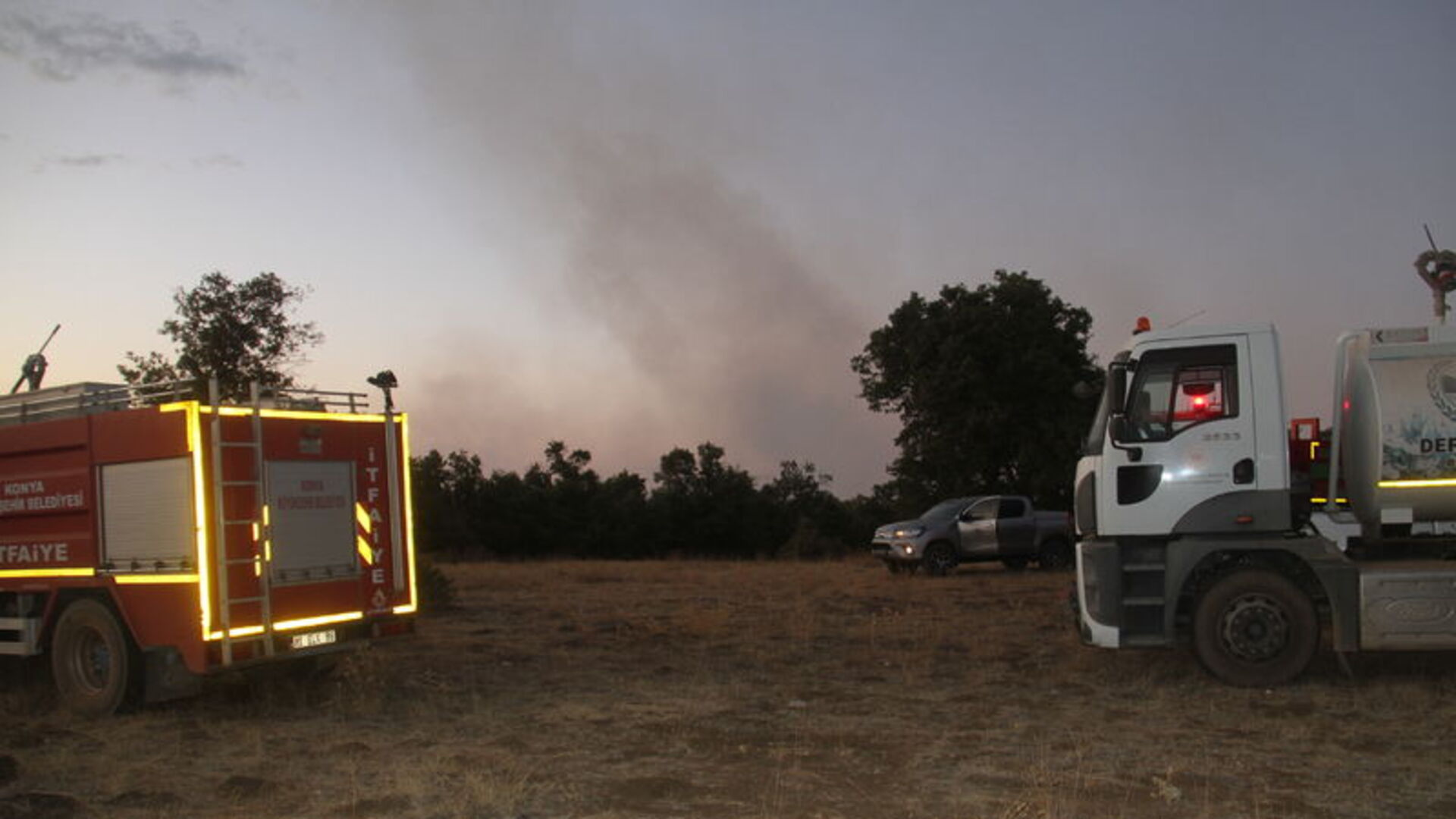 Konya'da sazlık alandaki yangın ormana sıçradı
